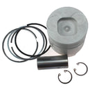 One Cylinder STD Piston & Ring 11-5900 115900 For Thermo King Isuzu D2.2 D201