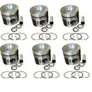 New 6 Sets STD Piston Kit With Ring 297-7753 For Caterpillar S6KT 320C Engine 102MM