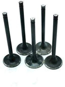 700ATV 700UTV ENGINE INLET & OUTLET VALVES AND STEM SEAL KIT
