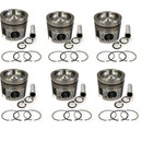 New 6 Sets STD Piston Kit With Ring 324-4235 For Caterpillar C6.4 Engine 102MM