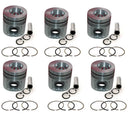 New 6 Sets STD Piston Kit With Ring 3907163 For Cummins 4BT3.9 6BT5.9 Engine 102MM