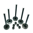 700ATV 700UTV ENGINE INLET & OUTLET VALVES AND STEM SEAL KIT