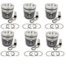 New 6 Sets STD Piston Kit With Ring 65.02501-0785A For Doosan D1146 Engine 111MM