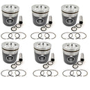 New 6 Sets STD Piston Kit With Ring 65.02501-0222B For Doosan D2366 Engine 123MM