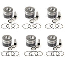 New 6 Sets STD Piston Kit With Ring 23411-93C10 For Mitsubishi 6D16 Engine 118MM