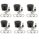 New 6 Sets STD Piston Kit With Ring 6212-31-2170 For Komatsu 6D140 Engine 140MM